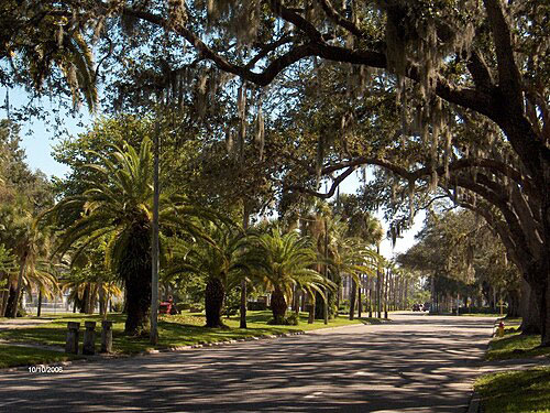 Venice, FL residential and commercial painting services